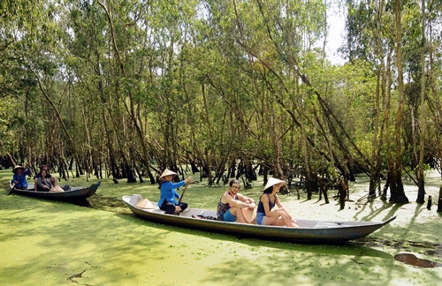 Khách du lịch quốc tế tham quan rừng tràm Trà Sư Khách du lịch quốc tế tham quan rừng tràm Trà Sư