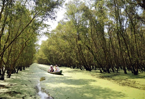 Du khách tham quan hệ sinh thái ngập nước tại rừng tràm Trà Sư Du khách tham quan hệ sinh thái ngập nước tại rừng tràm Trà Sư