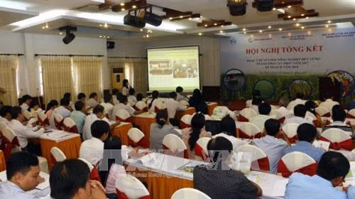Dự kiến, trong năm 2018 sẽ có gần 14.000 lượt nông dân thành phố Cần Thơ tiếp tục được đào tạo nâng cao kỹ thuật sản xuất nông nghiệp tiên tiến thông qua Dự án VnSAT. Ảnh: Thanh Liêm - TTXVN