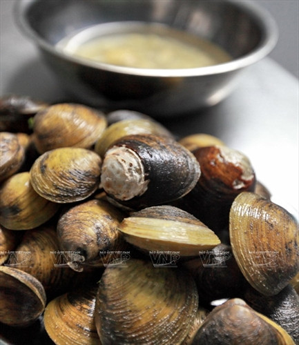 Vọp có thể chế biến được nhiều món, đơn giản mà ngon nhất là món vọp luộc gừng. Vọp có thể chế biến được nhiều món, đơn giản mà ngon nhất là món vọp luộc gừng.