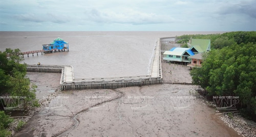 Con vọp có nhiều ở c các huyện Ngọc Hiển, Năm Căn tỉnh Cà Mau. Con vọp có nhiều ở c các huyện Ngọc Hiển, Năm Căn tỉnh Cà Mau.