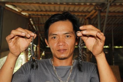 Bò cạp là loại côn trùng đang được anh Trung nuôi thử nghiệm, thời gian tới sẽ mở rộng quy mô hứa hẹn cho thu nhập cao. Ảnh:24h.com.vn Bò cạp là loại côn trùng đang được anh Trung nuôi thử nghiệm, thời gian tới sẽ mở rộng quy mô hứa hẹn cho thu nhập cao. Ảnh:24h.com.vn