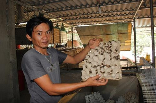 Nuôi dế, anh Trung có lãi 25-30 triệu đồng mỗi tháng.Ảnh: 24h.com.vn Nuôi dế, anh Trung có lãi 25-30 triệu đồng mỗi tháng.Ảnh: 24h.com.vn