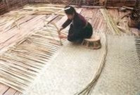 Cót xát rất phổ biến ở vùng người Thái, dùng để trải trên sàn trước khi xếp chiếu phục tay và các tấm đệm ngủ lên trên. Cót được đan bằng cây mạy loi, một loại cây thuộc loài tre, nứa mọc trên núi đá vôi cao. Cót xát rất phổ biến ở vùng người Thái, dùng để trải trên sàn trước khi xếp chiếu phục tay và các tấm đệm ngủ lên trên. Cót được đan bằng cây mạy loi, một loại cây thuộc loài tre, nứa mọc trên núi đá vôi cao.