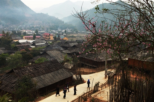 Bản Nặm Chiến có nhiều ngôi nhà sàn được làm bằng gỗ pơ mu tại xã Ngọc Chiến.