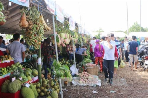 Sôi nổi Lễ hội sông nước miệt vườn tỉnh Sóc Trăng năm 2017 ảnh 3 Sôi nổi Lễ hội sông nước miệt vườn tỉnh Sóc Trăng năm 2017 ảnh 3