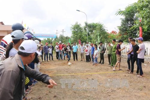 Sôi nổi Lễ hội sông nước miệt vườn tỉnh Sóc Trăng năm 2017 ảnh 2 Sôi nổi Lễ hội sông nước miệt vườn tỉnh Sóc Trăng năm 2017 ảnh 2