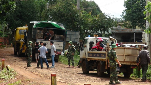 Lực lượng chức năng tiến hành bắt giữ các xe tải chở gỗ lậu. Lực lượng chức năng tiến hành bắt giữ các xe tải chở gỗ lậu.
