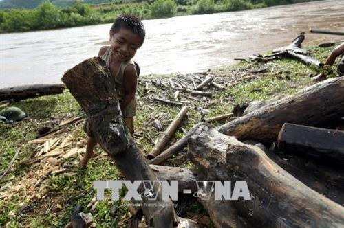 Những khúc củi, tấm gỗ do bọn trẻ vớt được tập kết trên bờ. Ảnh: Phan Tuấn Anh - TTXVN Niềm vui của cậu bé khi vớt được một thân cây to. Ảnh: Phan Tuấn Anh - TTXVN Đứng trên bờ nhìn thấy có củi trôi sông, các cậu bé ngay lập tức thi nhau nhảy xuống để vớt dù nước chảy xiết. Ảnh: Phan Tuấn Anh - TTXVN Để vớt được thanh củi to trôi dưới sông có khi phải 3 đứa trẻ mới đưa được vào bờ. Ảnh: Phan Tuấn Anh - TTXVN Một cậu bé vớt được thanh củi to trôi dưới sông. Ảnh: Phan Tuấn Anh - TTXVN Những khúc củi, tấm gỗ do bọn trẻ vớt được tập kết trên bờ. Ảnh: Phan Tuấn Anh - TTXVN Niềm vui của cậu bé khi vớt được một thân cây to. Ảnh: Phan Tuấn Anh - TTXVN Đứng trên bờ nhìn thấy có củi trôi sông, các cậu bé ngay lập tức thi nhau nhảy xuống để vớt dù nước chảy xiết. Ảnh: Phan Tuấn Anh - TTXVN Để vớt được thanh củi to trôi dưới sông có khi phải 3 đứa trẻ mới đưa được vào bờ. Ảnh: Phan Tuấn Anh - TTXVN Một cậu bé vớt được thanh củi to trôi dưới sông. Ảnh: Phan Tuấn Anh - TTXVN