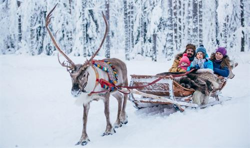 Rovaniemi, thủ phủ tỉnh Lapland ở Phần Lan được xem là quê hương chính thức của ông già Noel. Làng của ông già Noel: Nằm cách trung tâm thành phố Rovaniemi khoảng 8 km về phía bắc, Santa Claus Village, hay Làng của ông già Noel mở cửa chào đón du khách mỗi ngày. Là điểm đến hút khách nhất của Lapland, nơi đây như một resort đúng nghĩa với hàng loạt cửa hàng quà lưu niệm, nhà hàng, quán cà phê... Song, 3 địa điểm hấp dẫn hơn cả tại ngôi làng này chính là Santa Claus Office, Santa Claus Main Post Office và Arctic Circle. Gặp ông già Noel "xịn": Santa Claus Office, hay Văn phòng của ông già Noel là địa điểm chính thức cho bạn gặp gỡ nhân vật quen thuộc, hiền hậu với bộ râu rậm đặc trưng. Không quá lời khi nói rằng ông già Noel có lẽ là người... nổi tiếng nhất thế giới, đặc biệt với trẻ em. Tại Santa Claus Office, các bạn nhỏ có thể khám phá nhiều bí mật thú vị về nhân vật này, chẳng hạn như bộ điều khiển tốc độ quay Trái Đất của ông. Gửi thiệp Giáng sinh đến những người thân yêu: Santa Claus Main Post Office, hay Bưu điện chính của ông già Noel thuộc mạng lưới dịch vụ bưu chính quốc gia Phần Lan. Tại đây, du khách có thể "đặt hàng" ông già Noel gửi thiệp, quà Giáng sinh... đến những người thân yêu với một dấu bưu điện chính thức ở đây mà không nơi nào có để làm họ bất ngờ. Từ năm 1985, ông già Noel nhận khoảng 15 triệu lá thư từ 198 quốc gia, vùng lãnh thổ gửi đến, nên tại bưu điện, bạn cũng có thể xem qua những lá thư đáng yêu này của trẻ em khắp thế giới. Check-in tại Vòng Bắc Cực: Arctic Circle, hay Vòng Bắc Cực là vĩ tuyến 66 độ 33 phút bắc. Đây là một trong những dấu mốc địa lý rất đặc biệt trên Trái Đất, diễn ra những hiện tượng kỳ thú như Mặt Trời nửa đêm (Midnight Sun) hay Đêm vùng cực (Polar Night). Vòng Bắc Cực chạy qua Santa Claus Village ở Rovaniemi được đánh dấu rõ ràng, dễ nhận biết. Bạn hẳn không thể bỏ qua điểm check-in độc lạ này khi đến đây. Chiêm ngưỡng Bắc Cực quang kỳ ảo: Từ cuối tháng 8 đến tận đầu tháng 4 hàng năm ở Rovaniemi, bạn có thể tận mắt chiêm ngưỡng Bắc Cực quang "nhảy múa" không ngừng. Không gian lý tưởng để quan sát hiện tượng thiên nhiên kỳ thú này là bầu trời đêm đủ tối, trong vắt, không có ánh đèn neon. Trung tâm khoa học và bảo tàng Arktikum's Arctic Garden bên bờ sông Ounasjoki là một gợi ý thích hợp nếu bạn không muốn di chuyển quá xa trung tâm thành phố. Cưỡi xe tuần lộc kéo: Những chú tuần lộc kéo xe là một trong những hình ảnh gắn liền với ông già Noel. Tuy không thể... bay giữa trời, song những xe tuần lộc kéo vẫn đủ khả năng mang đến bạn cảm giác lướt đi trên tuyết trắng. Bạn có thể ghé thăm các trang trại tuần lộc và trải nghiệm hoạt động thú vị này. Ngoài cưỡi xe tuần lộc kéo, du khách cũng có thể lựa chọn xe kéo bởi những chú chó Husky. Kết bạn với những động vật vùng cực: Nếu là tín đồ yêu động vật, chắc chắn bạn không thể bỏ qua Ranua Wildlife Park, hay Công viên động vật hoang dã Ranua ở Rovaniemi. Tại đây, du khách có thể tìm hiểu, quan sát, chụp ảnh... nhiều loài động vật đặc biệt sống vùng cực như gấu trắng Bắc Cực, cáo Bắc Cực, cú tuyết, hươu đuôi trắng, rái cá... Cưỡi xe trượt tuyết: Có từ năm 1999, Arctic Circle Snowmobile Park, hay Công viên xe trượt tuyết Vòng Bắc Cực ở Rovaniemi sẽ mang đến bạn cơ hội thử sức với loại phương tiện đặc biệt này. Nơi đây có những chiếc xe trượt tuyết cỡ nhỏ thích hợp cho cả trẻ em để cùng vui chơi trong mùa đông. Ngoài ra, du khách cũng có thể tìm hiểu sự phát triển của xe trượt tuyết từ thập niên 1960 đến nay qua triển lãm ở "Ngôi nhà xe trượt tuyết của ông già Noel". Thử món ngon từ thịt tuần lộc: Tuần lộc được xem là một loại gia súc ở Lapland. Hình thức sinh kế chăn nuôi tuần lộc đã có từ nhiều thế kỷ ở vùng đất này, nên thịt tuần lộc là phần quan trọng không thể thiếu trong văn hóa ẩm thực của quê hương ông già Noel. Bạn có thể thưởng thức thịt tuần lộc xào dầu olive, ăn kèm khoai tây nghiền và quả mọng lingonberry đặc trưng ở vùng Scandinavia. Thưởng thức đặc sản tráng miệng Rovaniemi: Món ăn địa phương bạn nhất định phải thử khi đến quê hương ông già Noel là "phô mai bánh mì", hay leipajuusto. Món tráng miệng làm từ phô mai mềm chiên này thường được phục vụ với quả mọng cloudberry đặc trưng, đắt tiền ở Phần Lan. Trong lúc thưởng thức món leipajuusto hấp dẫn với hương vị ngọt ngào, bạn sẽ nghe được những âm thanh vui tai phát ra khi nhai. Rovaniemi, thủ phủ tỉnh Lapland ở Phần Lan được xem là quê hương chính thức của ông già Noel. Làng của ông già Noel: Nằm cách trung tâm thành phố Rovaniemi khoảng 8 km về phía bắc, Santa Claus Village, hay Làng của ông già Noel mở cửa chào đón du khách mỗi ngày. Là điểm đến hút khách nhất của Lapland, nơi đây như một resort đúng nghĩa với hàng loạt cửa hàng quà lưu niệm, nhà hàng, quán cà phê... Song, 3 địa điểm hấp dẫn hơn cả tại ngôi làng này chính là Santa Claus Office, Santa Claus Main Post Office và Arctic Circle. Gặp ông già Noel "xịn": Santa Claus Office, hay Văn phòng của ông già Noel là địa điểm chính thức cho bạn gặp gỡ nhân vật quen thuộc, hiền hậu với bộ râu rậm đặc trưng. Không quá lời khi nói rằng ông già Noel có lẽ là người... nổi tiếng nhất thế giới, đặc biệt với trẻ em. Tại Santa Claus Office, các bạn nhỏ có thể khám phá nhiều bí mật thú vị về nhân vật này, chẳng hạn như bộ điều khiển tốc độ quay Trái Đất của ông. Gửi thiệp Giáng sinh đến những người thân yêu: Santa Claus Main Post Office, hay Bưu điện chính của ông già Noel thuộc mạng lưới dịch vụ bưu chính quốc gia Phần Lan. Tại đây, du khách có thể "đặt hàng" ông già Noel gửi thiệp, quà Giáng sinh... đến những người thân yêu với một dấu bưu điện chính thức ở đây mà không nơi nào có để làm họ bất ngờ. Từ năm 1985, ông già Noel nhận khoảng 15 triệu lá thư từ 198 quốc gia, vùng lãnh thổ gửi đến, nên tại bưu điện, bạn cũng có thể xem qua những lá thư đáng yêu này của trẻ em khắp thế giới. Check-in tại Vòng Bắc Cực: Arctic Circle, hay Vòng Bắc Cực là vĩ tuyến 66 độ 33 phút bắc. Đây là một trong những dấu mốc địa lý rất đặc biệt trên Trái Đất, diễn ra những hiện tượng kỳ thú như Mặt Trời nửa đêm (Midnight Sun) hay Đêm vùng cực (Polar Night). Vòng Bắc Cực chạy qua Santa Claus Village ở Rovaniemi được đánh dấu rõ ràng, dễ nhận biết. Bạn hẳn không thể bỏ qua điểm check-in độc lạ này khi đến đây. Chiêm ngưỡng Bắc Cực quang kỳ ảo: Từ cuối tháng 8 đến tận đầu tháng 4 hàng năm ở Rovaniemi, bạn có thể tận mắt chiêm ngưỡng Bắc Cực quang "nhảy múa" không ngừng. Không gian lý tưởng để quan sát hiện tượng thiên nhiên kỳ thú này là bầu trời đêm đủ tối, trong vắt, không có ánh đèn neon. Trung tâm khoa học và bảo tàng Arktikum's Arctic Garden bên bờ sông Ounasjoki là một gợi ý thích hợp nếu bạn không muốn di chuyển quá xa trung tâm thành phố. Cưỡi xe tuần lộc kéo: Những chú tuần lộc kéo xe là một trong những hình ảnh gắn liền với ông già Noel. Tuy không thể... bay giữa trời, song những xe tuần lộc kéo vẫn đủ khả năng mang đến bạn cảm giác lướt đi trên tuyết trắng. Bạn có thể ghé thăm các trang trại tuần lộc và trải nghiệm hoạt động thú vị này. Ngoài cưỡi xe tuần lộc kéo, du khách cũng có thể lựa chọn xe kéo bởi những chú chó Husky. Kết bạn với những động vật vùng cực: Nếu là tín đồ yêu động vật, chắc chắn bạn không thể bỏ qua Ranua Wildlife Park, hay Công viên động vật hoang dã Ranua ở Rovaniemi. Tại đây, du khách có thể tìm hiểu, quan sát, chụp ảnh... nhiều loài động vật đặc biệt sống vùng cực như gấu trắng Bắc Cực, cáo Bắc Cực, cú tuyết, hươu đuôi trắng, rái cá... Cưỡi xe trượt tuyết: Có từ năm 1999, Arctic Circle Snowmobile Park, hay Công viên xe trượt tuyết Vòng Bắc Cực ở Rovaniemi sẽ mang đến bạn cơ hội thử sức với loại phương tiện đặc biệt này. Nơi đây có những chiếc xe trượt tuyết cỡ nhỏ thích hợp cho cả trẻ em để cùng vui chơi trong mùa đông. Ngoài ra, du khách cũng có thể tìm hiểu sự phát triển của xe trượt tuyết từ thập niên 1960 đến nay qua triển lãm ở "Ngôi nhà xe trượt tuyết của ông già Noel". Thử món ngon từ thịt tuần lộc: Tuần lộc được xem là một loại gia súc ở Lapland. Hình thức sinh kế chăn nuôi tuần lộc đã có từ nhiều thế kỷ ở vùng đất này, nên thịt tuần lộc là phần quan trọng không thể thiếu trong văn hóa ẩm thực của quê hương ông già Noel. Bạn có thể thưởng thức thịt tuần lộc xào dầu olive, ăn kèm khoai tây nghiền và quả mọng lingonberry đặc trưng ở vùng Scandinavia. Thưởng thức đặc sản tráng miệng Rovaniemi: Món ăn địa phương bạn nhất định phải thử khi đến quê hương ông già Noel là "phô mai bánh mì", hay leipajuusto. Món tráng miệng làm từ phô mai mềm chiên này thường được phục vụ với quả mọng cloudberry đặc trưng, đắt tiền ở Phần Lan. Trong lúc thưởng thức món leipajuusto hấp dẫn với hương vị ngọt ngào, bạn sẽ nghe được những âm thanh vui tai phát ra khi nhai.