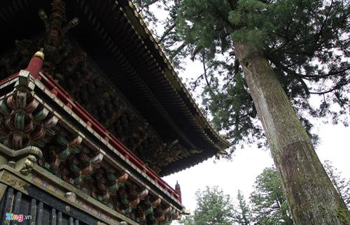 Nói đến Nikko, người hiểu lịch sử Nhật Bản liền nghĩ ngay đến Nikko Toshogu, một đền đài nguy nga nhất của xứ Phù Tang được UNESCO công nhận là di sản văn hoá thế giới vào năm 1999. Đường vào đền Nikko Toshogu vắt ngang con sông Daiya, với cây cầu Thần gỗ cong (Shin kyo) sơn son đẹp mắt, giống như cầu Thê Húc ở Hồ Gươm, Hà Nội. Đây là một trong 3 cây cầu đẹp nhất Nhật Bản. Nikko được ví như viên đá quý, bởi vẻ đẹp tự nhiên và vẻ đẹp kiến trúc Nhật Bản. Kiến trúc điện thờ vô cùng sắc sảo. Các nhà sử học ước lượng rằng để hoàn tất kiến trúc đền thờ Toshogu tốn khoảng 40 tỷ yen vào thời điểm ngày nay (8.547 tỷ đồng). Đền chùa Nikko là tên gọi chung của quần thể đền, chùa cổ nổi tiếng ở thành phố Nikko, tỉnh Tochigi. Dân địa phương thường gọi quần thể này là "hai đền một chùa", bởi quần thể gồm hai đền thờ Thần đạo Nikko Tosho-gu (đền Futarasan) và một ngôi chùa Phật giáo là chùa Rinno. 5 kiến trúc của đền Nikko Toshogu đã được Nhật Bản xếp vào hàng quốc bảo, và ba kiến trúc khác là tài sản văn hóa trọng yếu. Lăng mộ đền thờ của tướng quân Tokugawa được thiết kế tạo ra được một không gian rất trang nghiêm. Lối vào cổng chính rộng rãi, đường trải đá nhỏ màu xám, những rặng thông cao vút tạo ra một không gian uy nghi, thanh tịnh. Đại lộ những cây tuyết tùng được trồng xếp hàng dài ngay ngắn nằm ở hai bên vệ đường, được gọi là Sugi. Sau khi tướng quân Tokugawa Ieyasu chết năm 1616, Masatsuna Matsudaira đã xây dựng đền Nikko Toshogu, và ông bắt đầu trồng cây tuyết tùng Nhật Bản dọc theo con đường chính dẫn đến Nikko. Người ta ước tính có khoảng 200.000 cây tuyết tùng được trồng trong dịp này. Số lượng cây giảm đi rất nhiều và hiện nay chỉ còn 13.000 cây. Ðông Chiêu Cung - Toshogu - là tên gọi của đền thờ tướng quân Shogun Tokugawa Ieyasu - Ðức Xuyên Gia khang. Ông mất vào năm 1616 và con trai ông đã chọn Nikko làm nơi xây dựng đền thờ. Hơn 4 triệu người thợ làm trong trong 1 năm rưỡi để hoàn thiện cụm đền thờ có kiến trúc vô cùng sắc sảo này. Tổ hợp kiến trúc là điểm tuyệt vời trong số các tuyệt tác kiến trúc Nhật Bản thể hiện lối trang trí sang trọng và tinh tế. Kiến trúc đền thờ Toshogu để lại cho người sau cả một kho tàng về triết lý nhân sinh. Các hình ảnh khỉ đã được nhân cách hóa mô tả về đời sống con người. Một trong số đó có bức đặc biệt nhất khắc 3 chú khỉ, có tên từng chú khỉ là Kikazaru (bịt tai), Mizaru (bịt mắt) và Iwazaru (bịt miệng). Ba chú khỉ với vẻ mặt ngộ nghĩnh là hình tượng người Nhật Bản biểu đạt triết lý nhà Phật dạy rằng không nghe điều bậy, không nhìn điều bậy, không nói điều bậy. Bức khắc này của nghệ nhân Hidari Jingoro nổi tiếng từ thế kỉ 17. Hiện đền cũng là nơi những gia đình quyền quý tổ chức lễ thành hôn. Hàng năm đền thờ tướng quân Tokugawa - nơi được mệnh danh là ”Di Hòa Viên” của Nhật Bản, thu hút hàng trăm ngàn lượt khách du lịch.