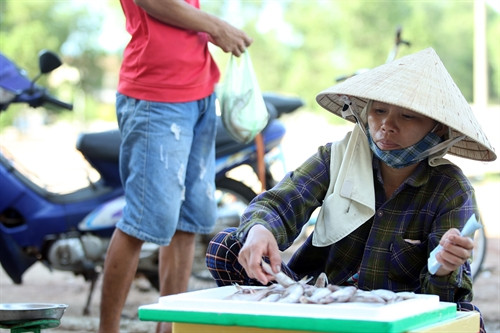 Chị Phan Thị Hóa, thôn Đô Tân, xã An Hải (tỉnh Quảng Trị), chồng đi làm xa, chị ở nhà buôn bán cá, thu nhập rất ít vẫn phải nuôi 3 đứa con ăn học. Chị Phan Thị Hóa, thôn Đô Tân, xã An Hải (tỉnh Quảng Trị), chồng đi làm xa, chị ở nhà buôn bán cá, thu nhập rất ít vẫn phải nuôi 3 đứa con ăn học.