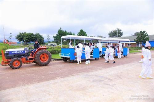 Trang trại như trời Âu ngay gần Đà Lạt ảnh 6 Trang trại như trời Âu ngay gần Đà Lạt ảnh 6