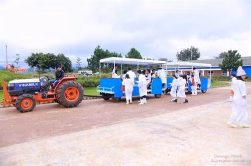 Trang trại như trời Âu ngay gần Đà Lạt ảnh 6 Trang trại như trời Âu ngay gần Đà Lạt ảnh 6