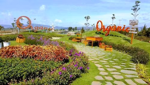 Trang trại như trời Âu ngay gần Đà Lạt ảnh 3 Trang trại như trời Âu ngay gần Đà Lạt ảnh 3
