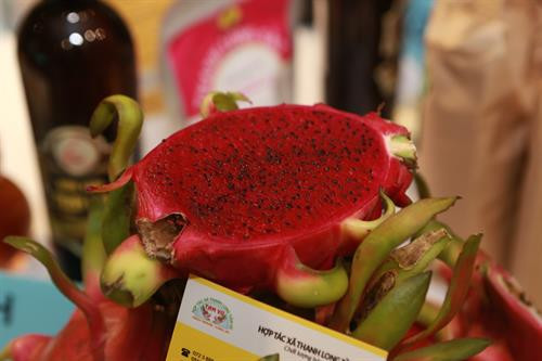 Bên lề diễn đàn, Ban tổ chức còn bố trí không gian giới thiệu những sản phẩm nông sản đặc sản của Hà Nội và các tỉnh, thành vùng Nam Bộ.