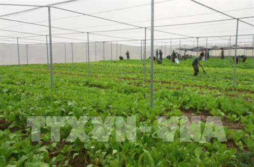 Cách mạng Công nghiệp 4.0 đã và đang tác động đến nhiều lĩnh vực, đặc biệt là nông nghiệp. Ảnh minh họa: Hoàng Nhị - TTXVN Cách mạng Công nghiệp 4.0 đã và đang tác động đến nhiều lĩnh vực, đặc biệt là nông nghiệp. Ảnh minh họa: Hoàng Nhị - TTXVN