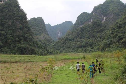Rừng đặc dụng Hữu Liên (Lạng Sơn). Ảnh: Quang Duy - TTXVN Rừng đặc dụng Hữu Liên (Lạng Sơn). Ảnh: Quang Duy - TTXVN