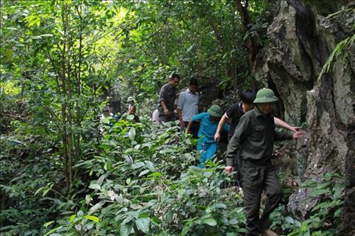 Tổ bảo vệ rừng thôn bản cùng Ban quản lý rừng đặc dụng Hữu Liên phối hợp tuần tra rừng. Ảnh: Quang Duy - TTXVN Tổ bảo vệ rừng thôn bản cùng Ban quản lý rừng đặc dụng Hữu Liên phối hợp tuần tra rừng. Ảnh: Quang Duy - TTXVN