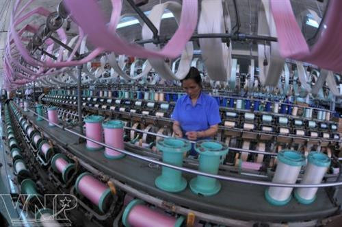 Nghề dâu tằm tơ truyền thống Bảo Lộc đã hồi sinh. Ảnh: TTXVN