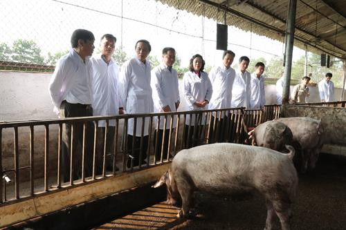 Phó Bí thư Thường trực Thành ủy Hà Nội Ngô Thị Thanh Hằng thăm mô hình sản xuất giun quế, lợn rừng, rau hữu cơ ở Trang trại Hoa Viên thuộc xã Yên Bình, huyện Thạch Thất (Hà Nội). Phó Bí thư Thường trực Thành ủy Hà Nội Ngô Thị Thanh Hằng thăm mô hình chăn nuôi Trang trại Xanh tại xã Lệ Chi, huyện Gia Lâm (Hà Nội).