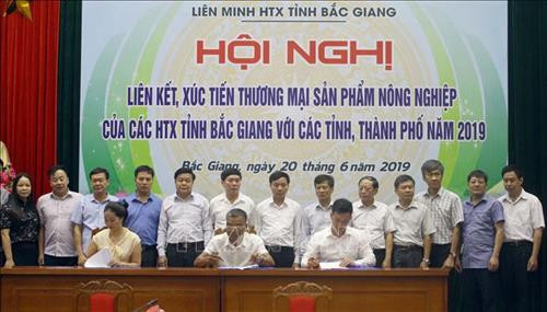 Ký biên bản ghi nhớ giữa các hợp tác xã, doanh nghiệp. Ảnh: Đồng Thúy - TTXVN Ký biên bản ghi nhớ giữa các hợp tác xã, doanh nghiệp. Ảnh: Đồng Thúy - TTXVN