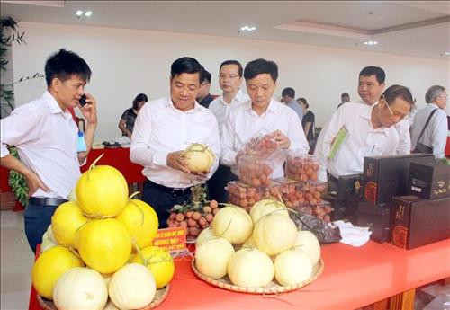 Phó Chủ tịch UBND tỉnh Bắc Giang Dương Văn Thái (giữa) cùng các đại biểu tham quan gian trưng bày sản phẩm của các hợp tác xã. Ảnh: Đồng Thúy -TTXVN Phó Chủ tịch UBND tỉnh Bắc Giang Dương Văn Thái (giữa) cùng các đại biểu tham quan gian trưng bày sản phẩm của các hợp tác xã. Ảnh: Đồng Thúy -TTXVN