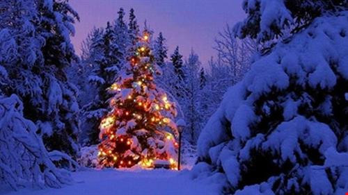 Có khoảng 400.000 người đến thăm quan tại ngôi làng của ông già tuyết Santa Claus ở Rovaniemi, Lapland mỗi năm. Theo truyền thuyết, ông già Noel đầu tiên sống trên núi Korvatunturi, cao 483 m nằm ở phía đông Lapland. Người dân nơi đây truyền tai nhau vì dãy núi mang hình dáng của cái tai nên ông già Noel có thể lắng nghe được mọi mong ước của trẻ em trên khắp thế giới. Chưa trang trí Noel, những ngôi nhà ở khu làng vẫn tuyệt đẹp nhờ Tuyết phủ trắng xóa quanh nhà. Khu làng ở trên cao như trong truyện cổ tích. Những ánh nắng hiếm hoi của vùng đất phủ đầy Tuyết trắng. Những chú tuần lộc nằm giữa đường thưởng thức tuyết. Tuần lộc được nuôi khá nhiều nơi đây. Về đêm, quê hương của ông già Noel cũng đượm một màu tuyệt đẹp của xứ sở thần tiên. Tuyết phủ trắng cảnh vật nơi đây Có khoảng 400.000 người đến thăm quan tại ngôi làng của ông già tuyết Santa Claus ở Rovaniemi, Lapland mỗi năm. Theo truyền thuyết, ông già Noel đầu tiên sống trên núi Korvatunturi, cao 483 m nằm ở phía đông Lapland. Người dân nơi đây truyền tai nhau vì dãy núi mang hình dáng của cái tai nên ông già Noel có thể lắng nghe được mọi mong ước của trẻ em trên khắp thế giới. Chưa trang trí Noel, những ngôi nhà ở khu làng vẫn tuyệt đẹp nhờ Tuyết phủ trắng xóa quanh nhà. Khu làng ở trên cao như trong truyện cổ tích. Những ánh nắng hiếm hoi của vùng đất phủ đầy Tuyết trắng. Những chú tuần lộc nằm giữa đường thưởng thức tuyết. Tuần lộc được nuôi khá nhiều nơi đây. Về đêm, quê hương của ông già Noel cũng đượm một màu tuyệt đẹp của xứ sở thần tiên. Tuyết phủ trắng cảnh vật nơi đây