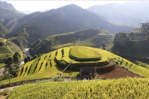 Ngày mùa vùng cao Tây Bắc. Ảnh: TTXVN Ruộng bậc thang - Nét đẹp văn hóa và công trình nghệ thuật độc đáo của đồng bào các dân tộc vùng cao phía Bắc. Ảnh: TTXVN Vẻ đẹp thơ mộng trên các thửa ruộng bậc thang huyện Mù Cang Chải, tỉnh Yên Bái trong mùa nước đổ. Ảnh: TTXVN Mùa gặt trên những thửa ruộng bậc thang huyện Mù Cang Chải (Yên Bái). Ảnh: TTXVN Rực rỡ mùa vàng Mù Cang Chải. Ảnh: TTXVN Thửa ruộng bậc thang hình trái tim ở xã La Pán Tẩn, huyện Mù Cang Chải, tỉnh Yên Bái. Ảnh: TTXVN Ruộng bậc thang Mù Cang Chải vào mùa lúa chín. Ảnh: TTXVN Vẻ đẹp ruộng bậc thang đồi Mâm Xôi, xã La Pán Tẩn, huyện Mù Cang Chải (Yên Bái). Ảnh: TTXVN Ngày mùa vùng cao Tây Bắc. Ảnh: TTXVN Ruộng bậc thang - Nét đẹp văn hóa và công trình nghệ thuật độc đáo của đồng bào các dân tộc vùng cao phía Bắc. Ảnh: TTXVN Vẻ đẹp thơ mộng trên các thửa ruộng bậc thang huyện Mù Cang Chải, tỉnh Yên Bái trong mùa nước đổ. Ảnh: TTXVN Mùa gặt trên những thửa ruộng bậc thang huyện Mù Cang Chải (Yên Bái). Ảnh: TTXVN Rực rỡ mùa vàng Mù Cang Chải. Ảnh: TTXVN Thửa ruộng bậc thang hình trái tim ở xã La Pán Tẩn, huyện Mù Cang Chải, tỉnh Yên Bái. Ảnh: TTXVN Ruộng bậc thang Mù Cang Chải vào mùa lúa chín. Ảnh: TTXVN Vẻ đẹp ruộng bậc thang đồi Mâm Xôi, xã La Pán Tẩn, huyện Mù Cang Chải (Yên Bái). Ảnh: TTXVN