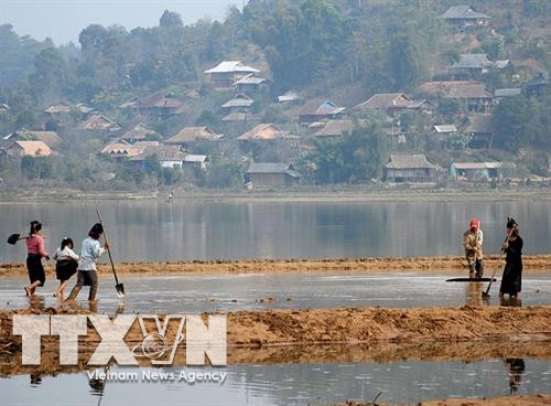 Nông dân xã Mường Phăng làm đất chuẩn bị gieo cấy lúa vụ mùa. Ảnh: Xuân Tư