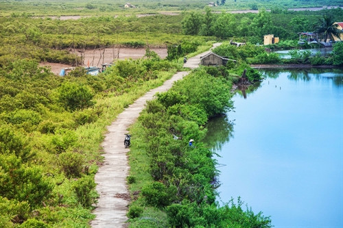 Con đường dân sinh chia ranh giới giữa vườn Quốc gia Xuân Thủy và vùng đệm. Con đường dân sinh chia ranh giới giữa vườn Quốc gia Xuân Thủy và vùng đệm.