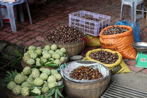 Hạt dẻ Trùng Khánh - món quà đặc sản ở Cao Bằng ảnh 6 Hạt dẻ Trùng Khánh - món quà đặc sản ở Cao Bằng ảnh 6