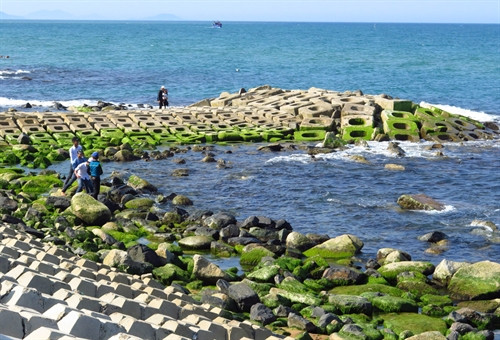 Bất chấp nguy hiểm, có thể gặp tai nạn, nhiều người vẫn xuống các bãi đá rêu để vui chơi, chụp ảnh. Bất chấp nguy hiểm, có thể gặp tai nạn, nhiều người vẫn xuống các bãi đá rêu để vui chơi, chụp ảnh.