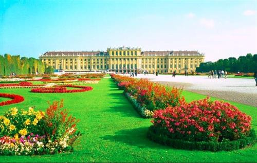 Vườn hoa cung điện Schönbrunn. Ảnh: Gisling/Wikipedia/CC BY-SA 3.0