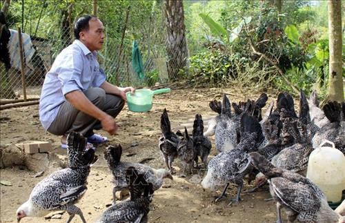 Ông Phạm Bá Lực, trú tại xã Phú Nghiêm, huyện Quan Hóa, được Chương trình 167 hỗ trợ xây nhà, vay vốn phát triển kinh tế và vươn lên thoát nghèo. Ảnh: Nguyễn Nam-TTXVN Ông Phạm Bá Lực, trú tại xã Phú Nghiêm, huyện Quan Hóa, được Chương trình 167 hỗ trợ xây nhà, vay vốn phát triển kinh tế và vươn lên thoát nghèo. Ảnh: Nguyễn Nam-TTXVN