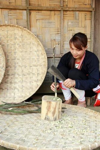 Sơ chế thuốc nam của người Dao Ba Vì Sơ chế thuốc nam của người Dao Ba Vì