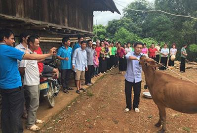 Cán bộ Trạm Chăn nuôi và Thú y huyện hướng dẫn người dân bản Cáp Na 1 sát trùng vết thương trong miệng khi gia súc bị bệnh LMLM.Ảnh: Nguồn baolaichau.vn Cán bộ Trạm Chăn nuôi và Thú y huyện hướng dẫn người dân bản Cáp Na 1 sát trùng vết thương trong miệng khi gia súc bị bệnh LMLM.Ảnh: Nguồn baolaichau.vn