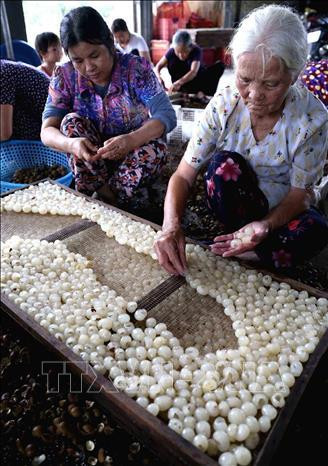 Nghề làm long nhãn ở thôn Nễ Châu, xã Hồng Nam, thành phố Hưng Yên đã có từ lâu đời và được truyền từ đời này sang đời khác. Ảnh: Vũ Sinh - TTXVN Nghề làm long nhãn ở thôn Nễ Châu, xã Hồng Nam, thành phố Hưng Yên đã có từ lâu đời và được truyền từ đời này sang đời khác. Ảnh: Vũ Sinh - TTXVN