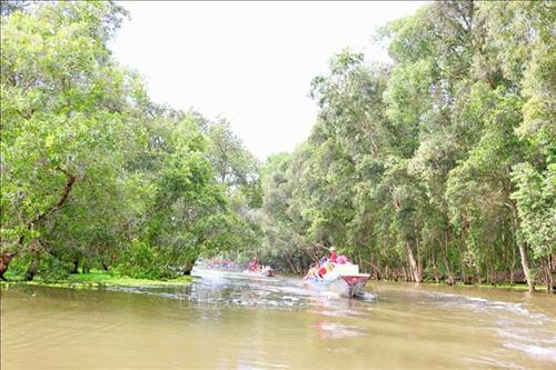 Rừng tràm Trà Sư hiện có hệ sinh thái, cảnh quan rừng tràm trên đất ngập nước tiêu biểu vùng Tây sông Hậu. Ảnh: Thanh Sang - TTXVN Trà Sư là khu rừng ngập nước tiêu biểu cho vùng tây sông Hậu. Ảnh: Thanh Sang - TTXVN Hằng năm, rừng tràm Trà Sư đón hàng triệu lượt khách du lịch trong và ngoài nước đến tham quan. Ảnh: Thanh Sang - TTXVN Rừng tràm Trà Sư hiện là điểm đến du lịch sinh thái nổi tiếng của tỉnh An Giang. Ảnh: Thanh Sang - TTXVN Rừng tràm Trà Sư hiện có hệ sinh thái, cảnh quan rừng tràm trên đất ngập nước tiêu biểu vùng Tây sông Hậu. Ảnh: Thanh Sang - TTXVN Trà Sư là khu rừng ngập nước tiêu biểu cho vùng tây sông Hậu. Ảnh: Thanh Sang - TTXVN Hằng năm, rừng tràm Trà Sư đón hàng triệu lượt khách du lịch trong và ngoài nước đến tham quan. Ảnh: Thanh Sang - TTXVN Rừng tràm Trà Sư hiện là điểm đến du lịch sinh thái nổi tiếng của tỉnh An Giang. Ảnh: Thanh Sang - TTXVN