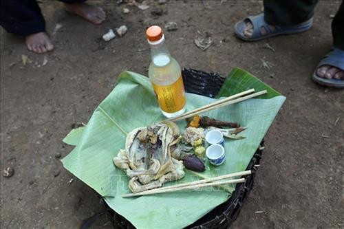 Mâm thờ cúng thần thổ địa, xin phép cho dòng họ được tổ chức lễ hội. Ảnh: Phan Tuấn Anh - TTXVN