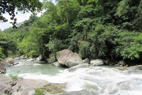 Nét đẹp hoang sơ của thác Đá Bàn. Nét đẹp hoang sơ của thác Đá Bàn.