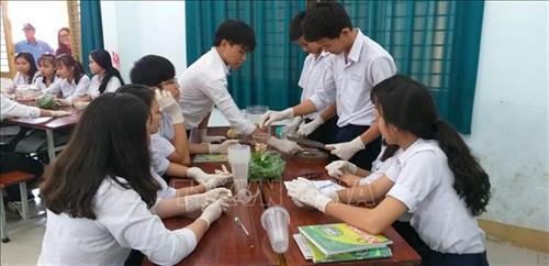 Các em thực hành theo nhóm học cách làm thuốc trừ sâu không gây hại đến môi trường trong giờ Sinh học. Ảnh: Lê Xuân-TTXVN Các em thực hành theo nhóm học cách làm thuốc trừ sâu không gây hại đến môi trường trong giờ Sinh học. Ảnh: Lê Xuân-TTXVN
