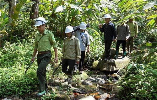 Tuần tra rừng trong khu vực rừng già thuộc xã Y Tý, huyện Bát Xát. Ảnh: Quốc Khánh - TTXVN Tuần tra rừng trong khu vực rừng già thuộc xã Y Tý, huyện Bát Xát. Ảnh: Quốc Khánh - TTXVN