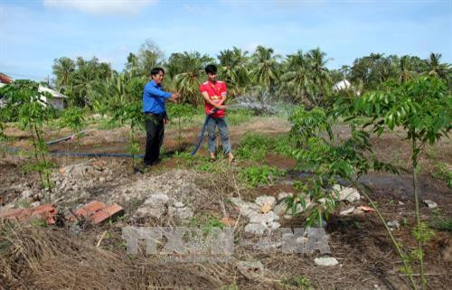 Anh Nguyễn Hoàng Mỹ hướng dẫn kỹ thuật trồng cây cảnh cho thành viên tổ hợp tác. Ảnh: Lê Thúy Hằng – TTXVN