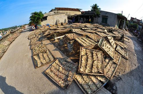 Cá khô được người dân đánh bắt về chế biến, phơi khô trên khắp các lối đi mỗi thôn xóm. Ảnh: Trọng Đạt - TTXVN Cá khô được người dân đánh bắt về chế biến, phơi khô trên khắp các lối đi mỗi thôn xóm. Ảnh: Trọng Đạt - TTXVN Bến thuyền tấp nập mỗi khi cá về vào buổi sáng hoặc chiều trên đảo Nghi Sơn. Ảnh: Trọng Đạt - TTXVN Một góc bến thuyền trên xã đảo Nghi Sơn và khu vực cầu cảng nước sâu Nghi Sơn. Ảnh: Trọng Đạt - TTXVN Bến thuyền tấp nập mỗi khi cá về vào buổi sáng hoặc chiều trên đảo Nghi Sơn. Ảnh: Trọng Đạt - TTXVN Một góc xã đảo Nghi Sơn bên biển xanh thơ mộng. Ảnh: Trọng Đạt - TTXVN Bến thuyền trên xã đảo Nghi Sơn. Ảnh: Trọng Đạt - TTXVN Nhộn nhịp bến thuyền trên xã đảo Nghi Sơn. Ảnh: Trọng Đạt - TTXVN Chiều về trên cảng cá Nghi Sơn. Ảnh: Trọng Đạt - TTXVN Cá khô được người dân đánh bắt về chế biến, phơi khô trên khắp các lối đi mỗi thôn xóm. Ảnh: Trọng Đạt - TTXVN Cá khô được người dân đánh bắt về chế biến, phơi khô trên khắp các lối đi mỗi thôn xóm. Ảnh: Trọng Đạt - TTXVN Bến thuyền tấp nập mỗi khi cá về vào buổi sáng hoặc chiều trên đảo Nghi Sơn. Ảnh: Trọng Đạt - TTXVN Một góc bến thuyền trên xã đảo Nghi Sơn và khu vực cầu cảng nước sâu Nghi Sơn. Ảnh: Trọng Đạt - TTXVN Bến thuyền tấp nập mỗi khi cá về vào buổi sáng hoặc chiều trên đảo Nghi Sơn. Ảnh: Trọng Đạt - TTXVN Một góc xã đảo Nghi Sơn bên biển xanh thơ mộng. Ảnh: Trọng Đạt - TTXVN Bến thuyền trên xã đảo Nghi Sơn. Ảnh: Trọng Đạt - TTXVN Nhộn nhịp bến thuyền trên xã đảo Nghi Sơn. Ảnh: Trọng Đạt - TTXVN Chiều về trên cảng cá Nghi Sơn. Ảnh: Trọng Đạt - TTXVN