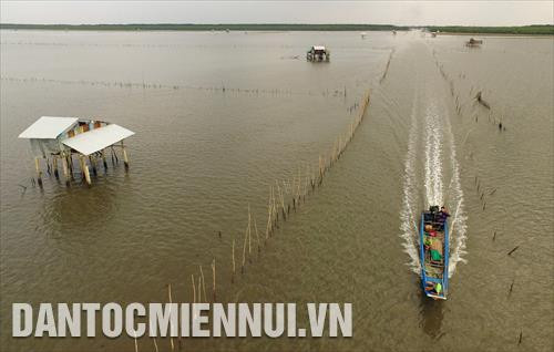 Vùng bãi bồi ven biển thuộc huyện An Biên (Kiên Giang) rộng trên 10.000ha, thuận lợi phát triển nuôi nhuyễn thể như: nghêu, vẹm xanh, sò huyết...