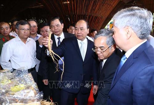 Thủ tướng Nguyễn Xuân Phúc và các đại biểu xem các gian hàng trưng bày sản phẩm tại triển lãm về sâm Ngọc Linh Kon Tum và các dược liệu khác. Ảnh: Thống Nhất – TTXVN Thủ tướng Nguyễn Xuân Phúc và các đại biểu xem các gian hàng trưng bày sản phẩm tại triển lãm về sâm Ngọc Linh Kon Tum và các dược liệu khác. Ảnh: Thống Nhất – TTXVN