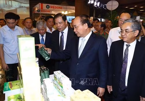 Thủ tướng Nguyễn Xuân Phúc và các đại biểu xem các gian hàng trưng bày sản phẩm tại triển lãm về sâm Ngọc Linh Kon Tum và các dược liệu khác. Ảnh: Thống Nhất – TTXVN