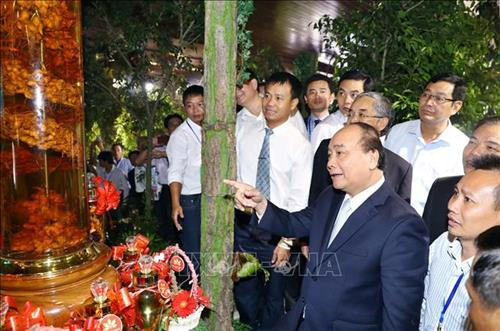 Thủ tướng Nguyễn Xuân Phúc và các đại biểu xem các gian hàng trưng bày sản phẩm tại triển lãm về sâm Ngọc Linh Kon Tum và các dược liệu khác. Ảnh: Thống Nhất – TTXVN Thủ tướng Nguyễn Xuân Phúc và các đại biểu xem các gian hàng trưng bày sản phẩm tại triển lãm về sâm Ngọc Linh Kon Tum và các dược liệu khác. Ảnh: Thống Nhất – TTXVN