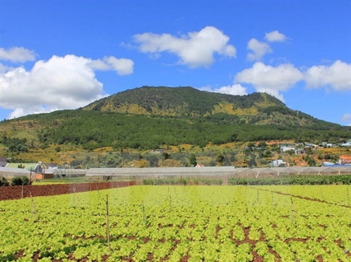 Ảnh minh họa - TTXVN Ảnh minh họa - TTXVN